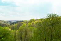 Vorm Einholz Ausblick vorher